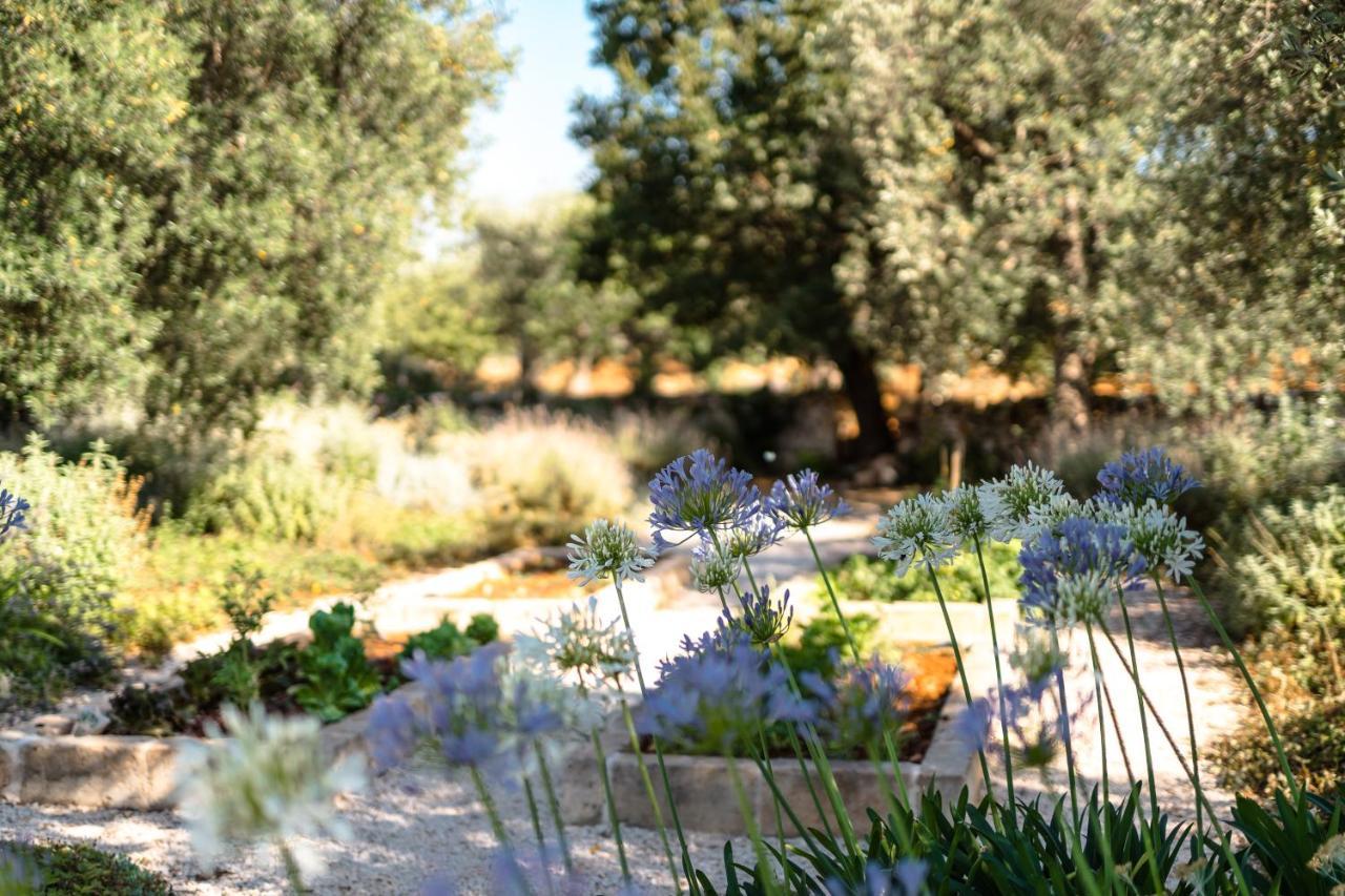 Trulli Ad Maiora Villa Alberobello Buitenkant foto