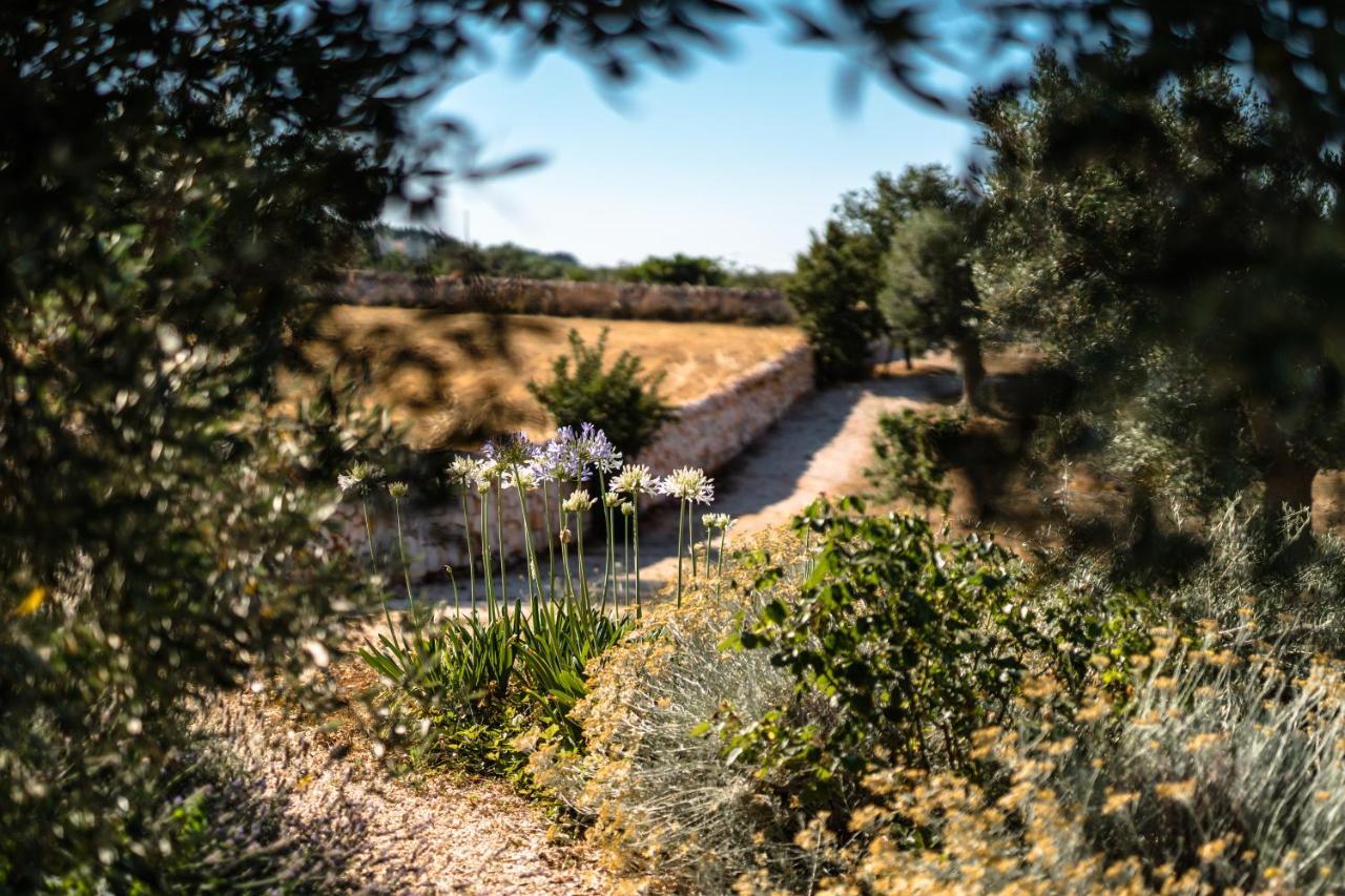 Trulli Ad Maiora Villa Alberobello Buitenkant foto